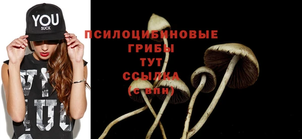 первитин Богданович