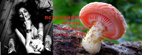 первитин Богданович