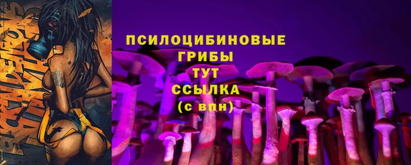 прущая мука Богородск